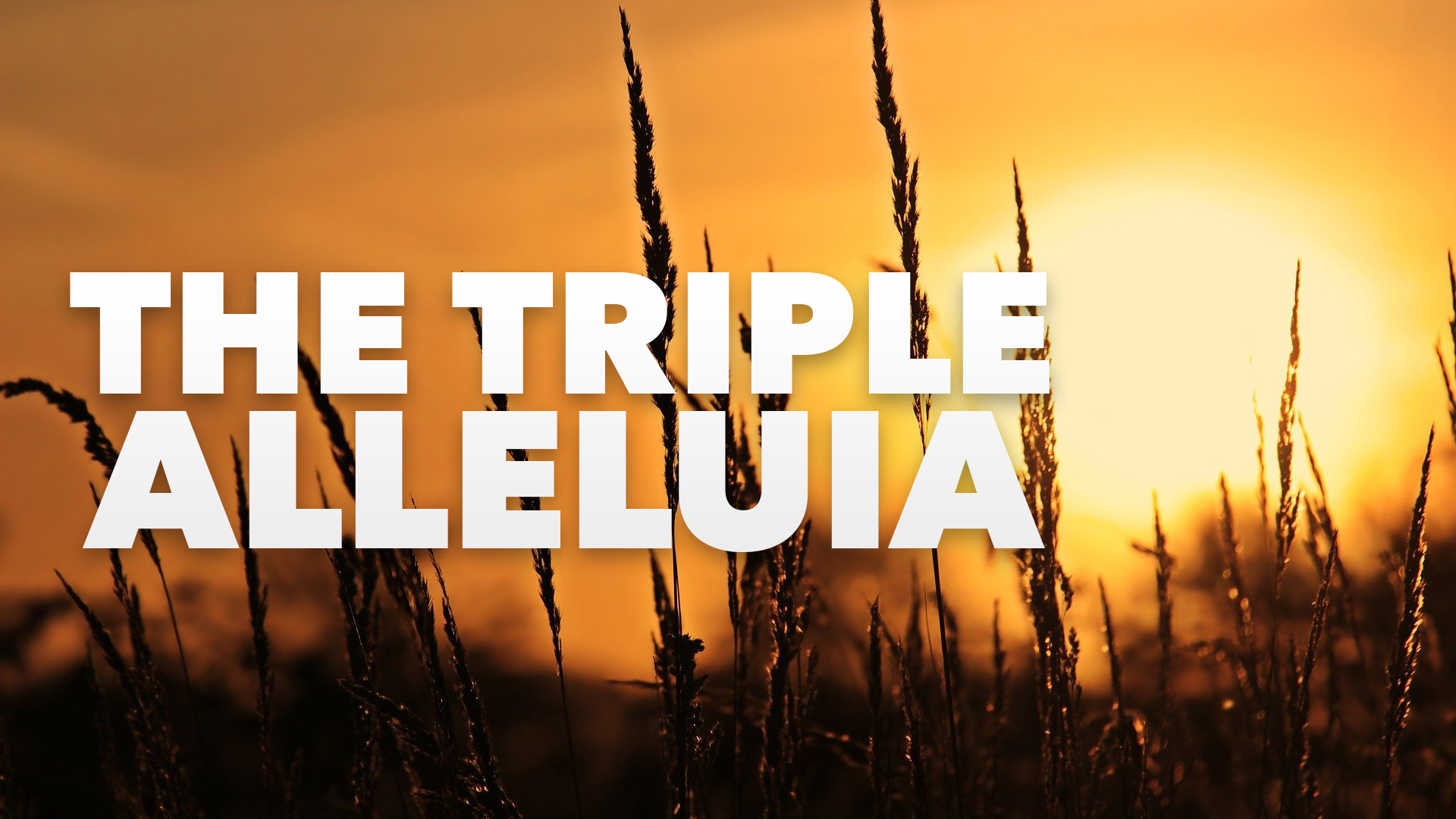 CU Weekly 444: The Triple Alleluia.